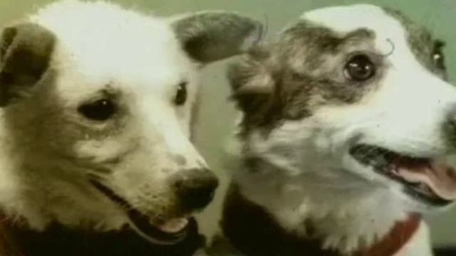 Детский видео - журнал "Покорители космоса" смотреть онлайн