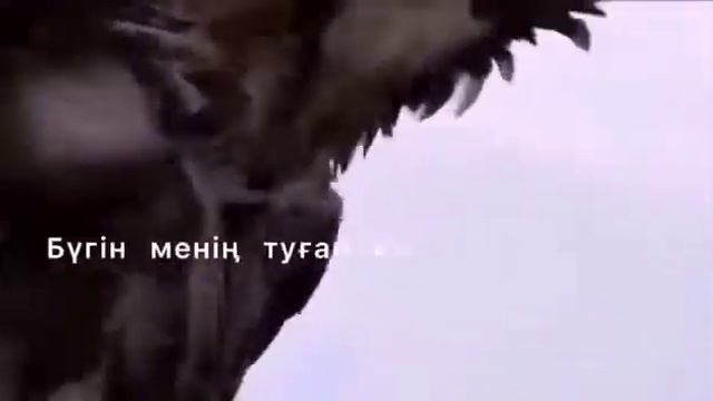 ТУҒАН КҮНГЕ ӨЛЕҢ.."БҮГІН МЕНІҢ ТУҒАН КҮНІМ" Авторы: Ағабек Пернебайұлы..Көктөбе ауылы смотреть онлайн