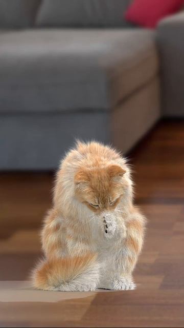 Cat 3D Model CGI Animation - #shorts  | @PROmax3D