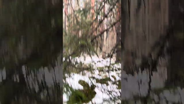 3 февраля 2025 г. смотреть онлайн