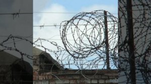 Аркадий Кобяков(Журавли)