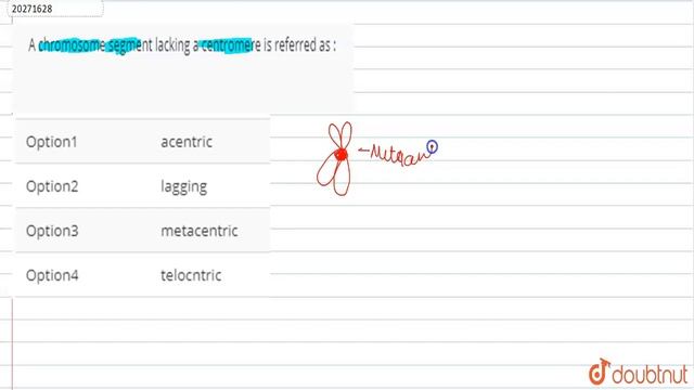 A chromosome segment lacking a centromere is referred as :