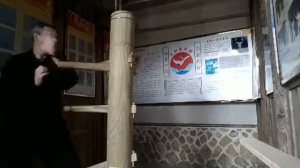 Кулак Белого Журавля Работа на манекене Виктор Панасюк
