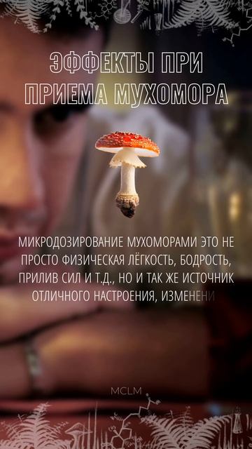Мухомор Красный: Натуральная Энергия и Поддержка Здоровья #mclm #лечебныегрибы #мухомор