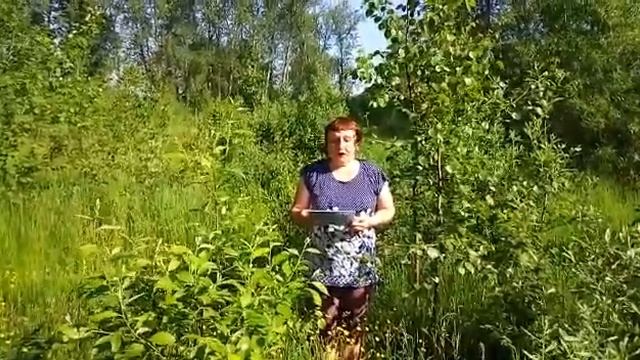 Челлендж #РусскиеРифмы, посвященный Дню России. смотреть онлайн