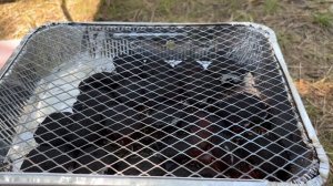 БЫЛ ШОКИРОВАН РЕЗУЛЬТАТОМ! Стоит ли покупать Одноразовый Мангал?