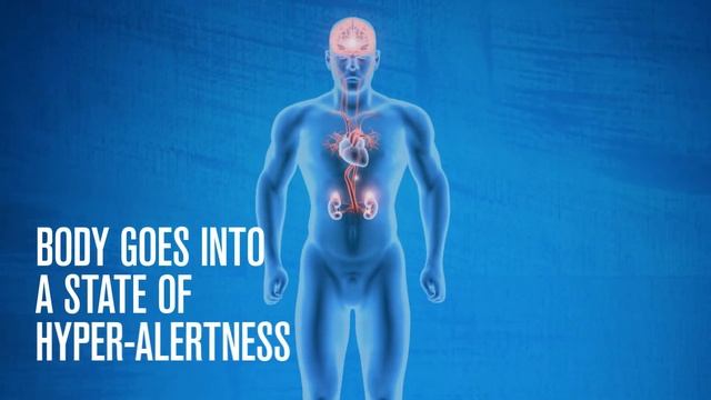 Essence of Chicken Benefit 4: Improve Mood смотреть онлайн