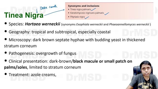 TINEA NIGRA | Black Mold Skin Infection | Dematiceous Pigmented Fungus | Micro skin fungi | DrMSD |