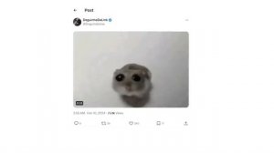 Откуда появился мем с хомяком