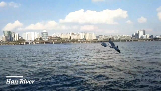 Amel's VLOG - Journey In South Korea смотреть онлайн