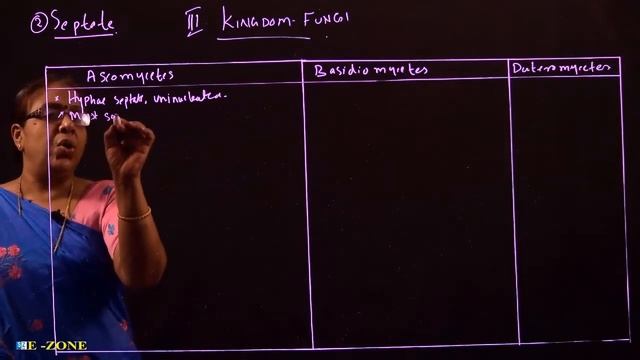 Fungi Phycomycetes & Ascomycetes Plus One смотреть онлайн