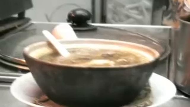 Sharkfin смотреть онлайн