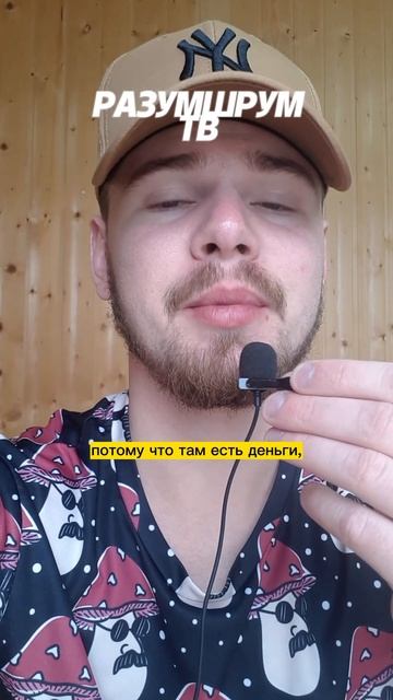 🍄СМЫСЛ ЖИЗНИ - МУХОМОР ПОМ... | Растения Учителя #amanitamuscaria #красныймухомор #мухоморы смотреть онлайн