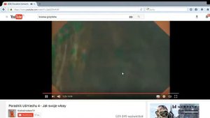 Stream:Kraina Grzybów.