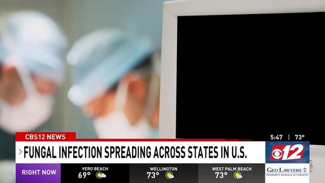 Everything you need to know about Candida auris, an infectious fungus смотреть онлайн