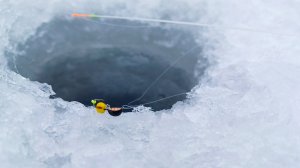 ПОСТАВИЛ Арбуз и пошёл ЗАГИБ за ЗАГИБОМ матёрых окуней. Рыбалка на зимой