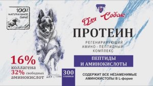 Протеин