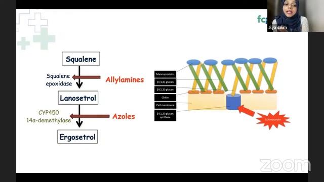 Antifungals: Pharmacokinetics and Pharmacodynamics смотреть онлайн