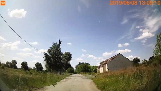 Перепелка перебегает дорогу. Окраина п. Роза. смотреть онлайн