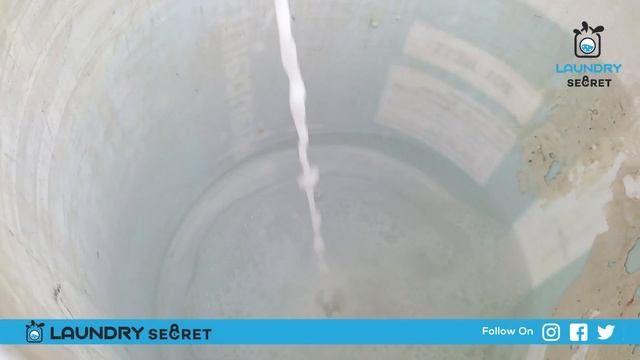 How to remove fungus stains from clothes Fungus stain removal from white shirt Laundry Secret