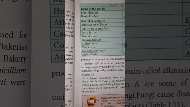 Harmful Activities of Fungi