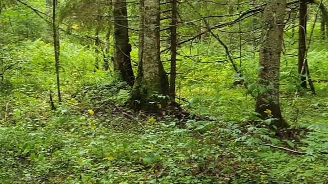 22.08.2023год."День второй!" смотреть онлайн