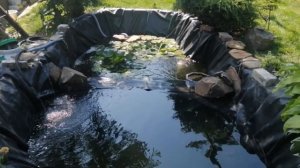 🔴 УРААА. 🎉 СКОРО БУДЕТ ПРУД ГОТОВ. ДАЧНЫЙ ПРУДИК С КАРПАМИ КОИ