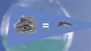 Хочу всё знать 37