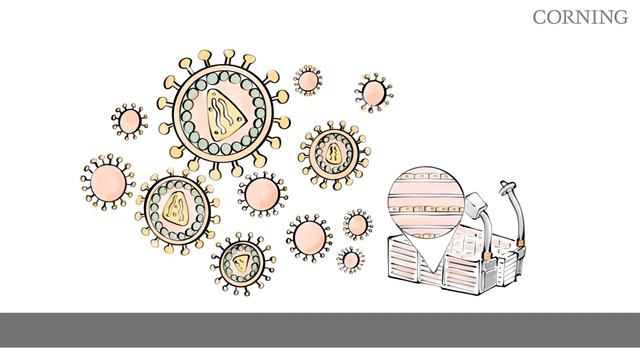 Dr. C - Corning Fetal Bovine Serum (FBS) Part 3: Specialty Treatments and Applications смотреть онлайн
