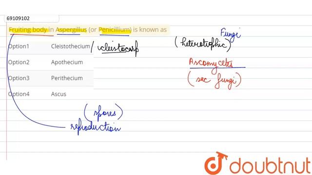 Fruiting body in Aspergillus (or Penicillium) is known as | 12 | BIOLOGICAL CLASSIFICATION | BI... смотреть онлайн