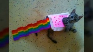 [SFM]Песня нян кэта