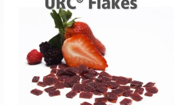URC® Concentrated Fruit Ingredients, from Taura Natural Ingredients