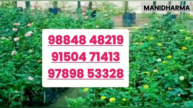 #Manidharma_Biofarm #2ksubscribers #thanks #Rose #chennai