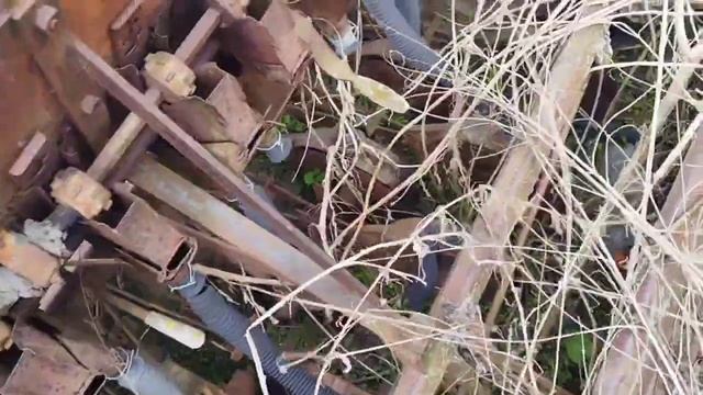 Сеялка Зерновая Эльворти (Червона Зирка) СЗ-3.6 экспресс-обзор от Николая Нарватова