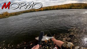 Ультралайтовая ловля мирной рыбы спиннингом. Наноджиг, Мормышинг