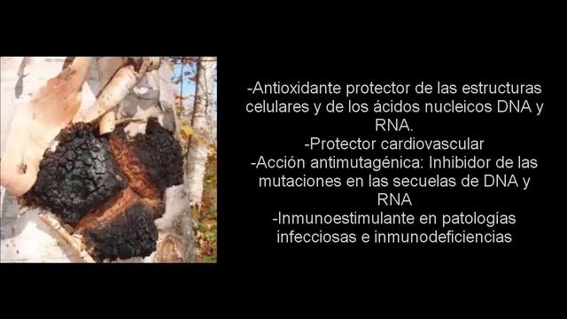 EL PODER DEL CAFE NATURAL DE TOTAL LIFE CHANGES