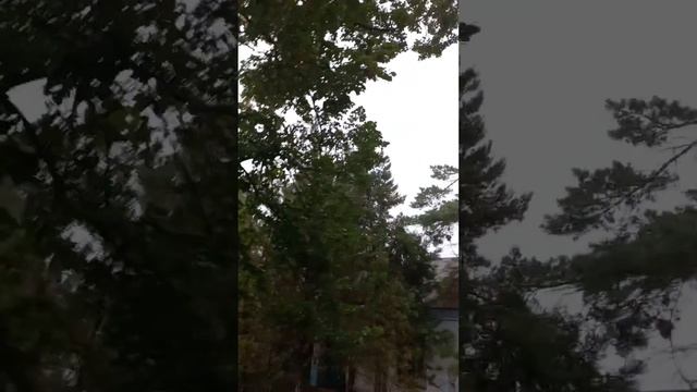 Гроза с градом вблизи Майкопа смотреть онлайн