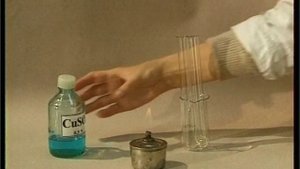 Гидролиз сахарозы