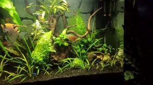 Boyu aquarium ea-60
