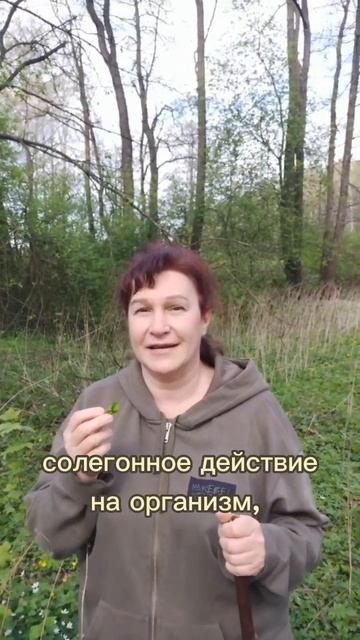 Избавьтесь от солей и проблем с суставами с помощью этих волшебных листочков! смотреть онлайн