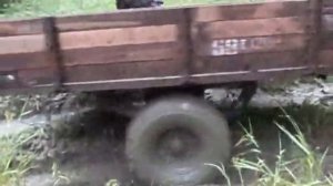 поездка за грибами на мтз 80