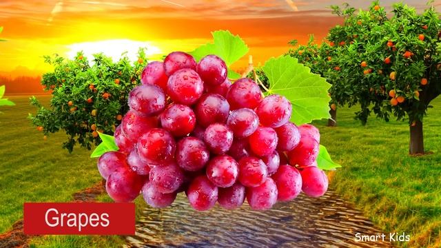 Learn names Tropical Fruits and Vegetables in English | Learning Tropical Fruits&Vegetables for Kid