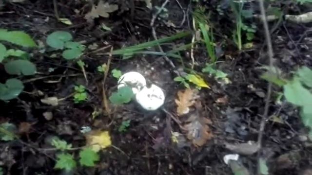 НАШёЛ ГРУЗДЬ смотреть онлайн