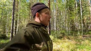ПОИСКИ МЕТАЛЛА В СИБИРСКОЙ ТАЙГЕ. НАШЛИ СОТНИ КУБОВ ЛЕСА БРОШЕННОГО В СОВЕТСКОМ СОЮЗЕ.