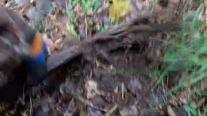 ЖИРНЮЩИЙ МЕТАЛЛОКОП! ЛУЧШИЕ НАХОДКИ 2020 #металлокоп #металлопоиск