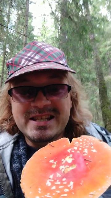 Анекдот про мухомор 🍄🍄🍄 смотреть онлайн