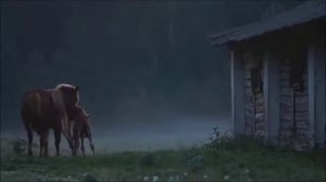 «  РАННЕЕ УТРО  »