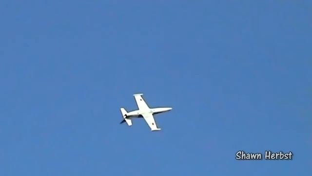 Aero L-39 Albatros Air Show Demo