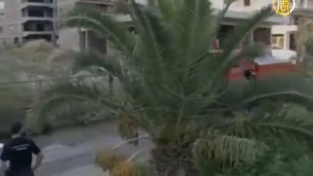 Греческие власти борются с нелегальными эмигрантами