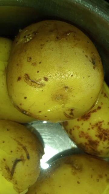 салат с грибами и спаржей